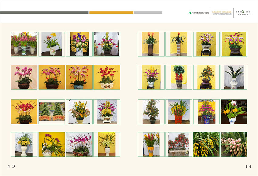 廣州花場苗木畫冊設計,花場苗木畫冊設計公司